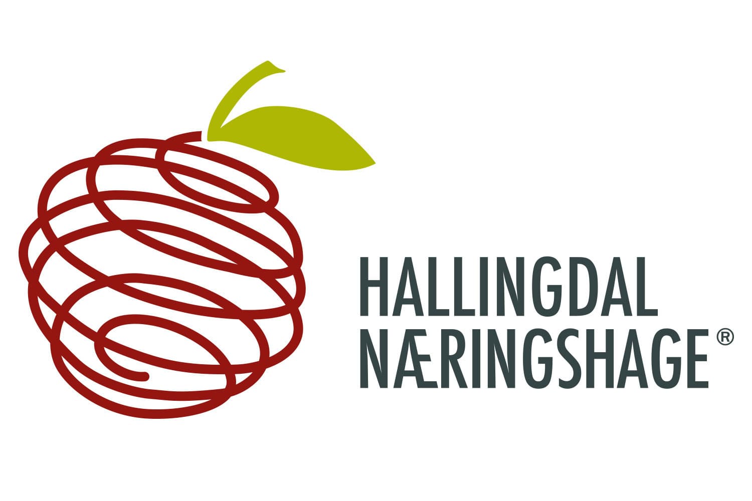 Hallingdal Næringshage AS